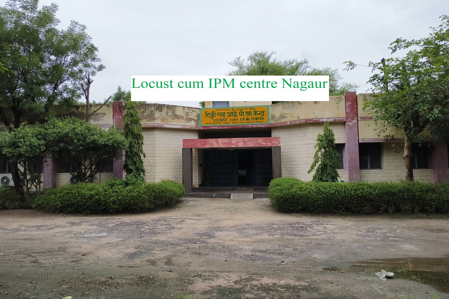 LCIPMC, Nagaur Office Building