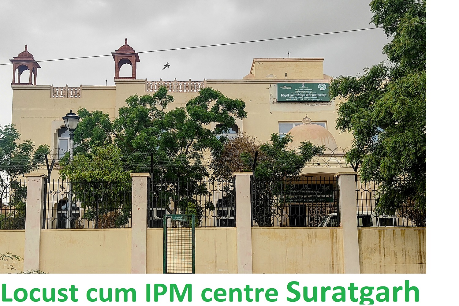 LCIPMC Suratgarh Office Building