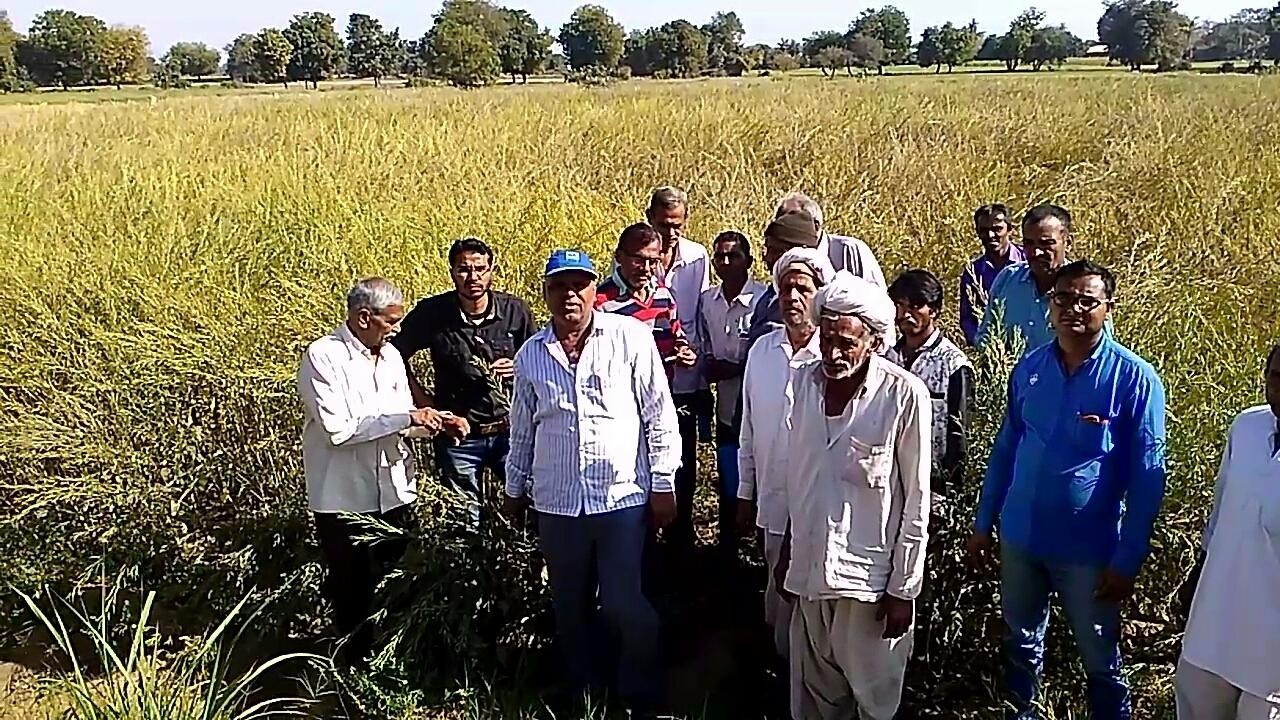 LCO PALANPUR OFFICE