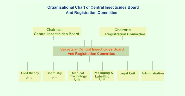 Organisation Structure