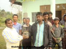 Distribution of Neem Sapling to the farmers