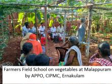 Farmer field school