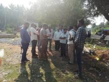 Special survey to assess the infestation of Ambrosia psilostachya at Turuvekere Taluk, Tumkur district