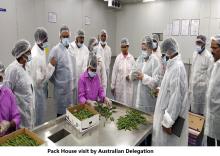 Pack House visit by Australian Delegation