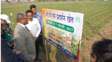 Inauguration of IPM Demo Plot by PPA